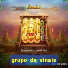 grupo de sinais trader telegram